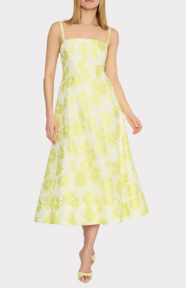 Striped Floral Fil Coupe Dress